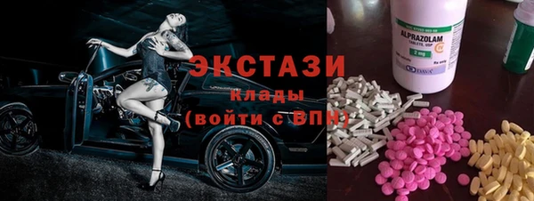 индика Бабаево