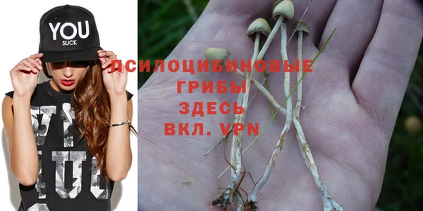 скорость Нефтегорск