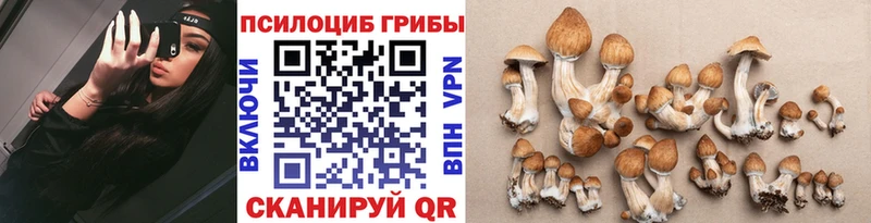 ОМГ ОМГ рабочий сайт  Нерчинск  Псилоцибиновые грибы MAGIC MUSHROOMS 